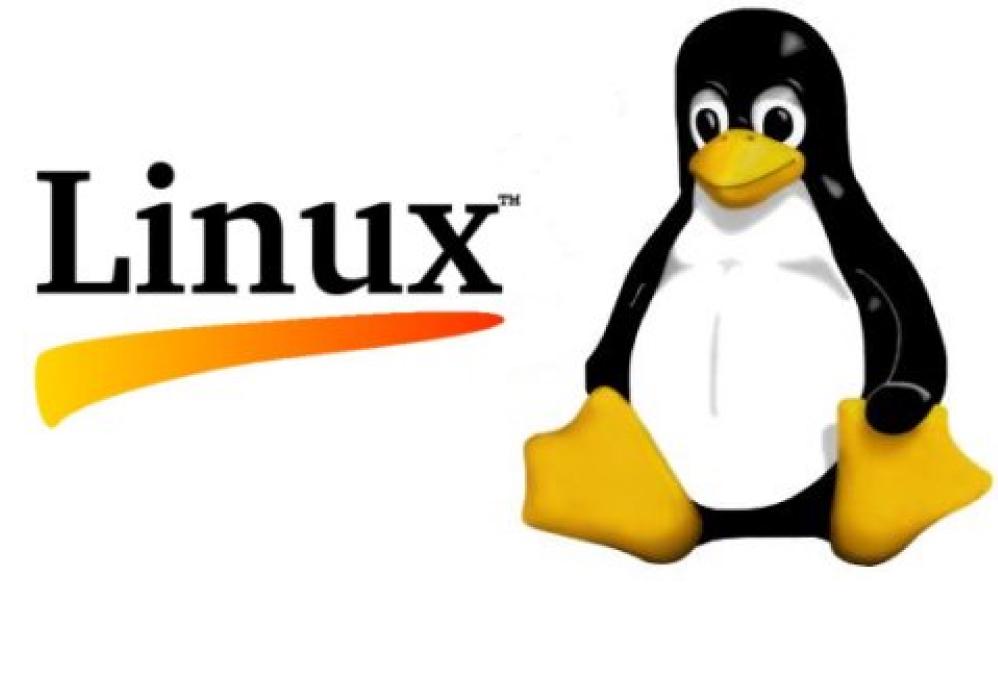 wps和unix是系统软件吗_unix是网络操作系统_unix的网络操作系统