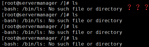 sql脚本怎么执行_linux执行.sql脚本_linux如何执行sql脚本