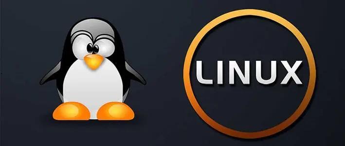 查看版本linux_linux查看系统版本信息_linux系统查看java版本