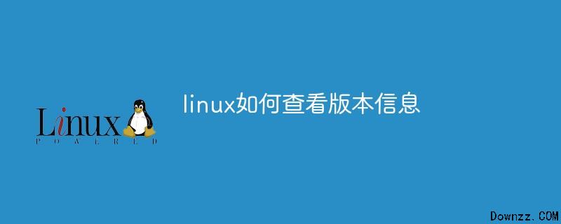 linux怎么看版本信息_linux查看版本信息的命令_查看版本信息linux