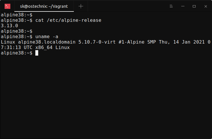 显示 Alpine Linux 滚动发布版本和内核详细信息